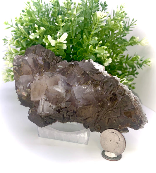 FLUORITE - Loralai Mine, Pakistan