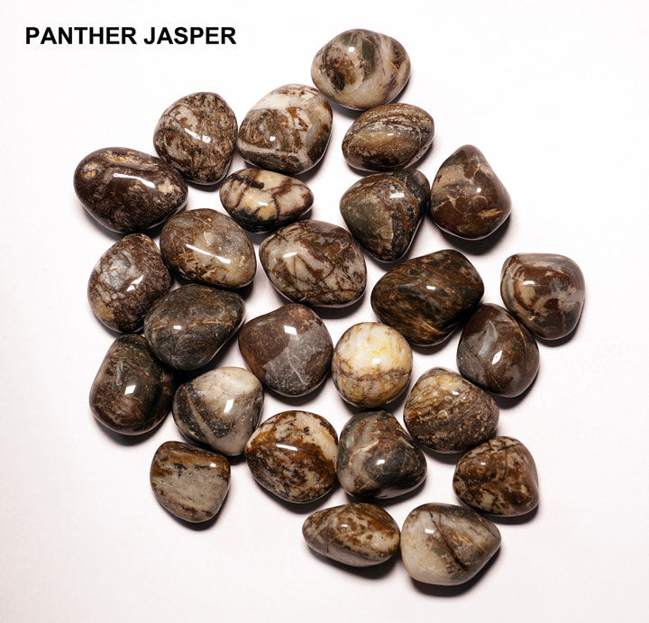 Panther Jasper Tumbles