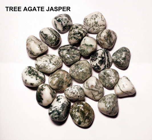 Tree Agate Jasper Tumbles