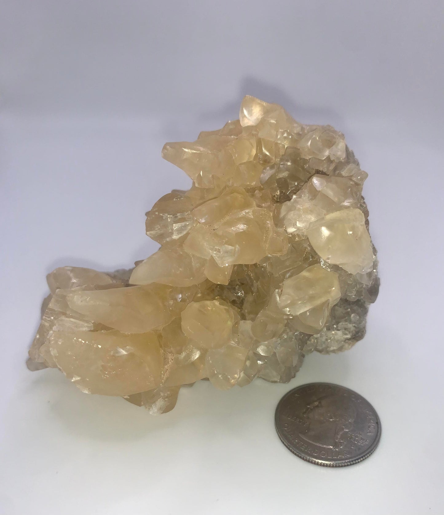 Honey Aragonite from Mexico