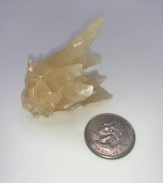 Honey Aragonite from Mexico