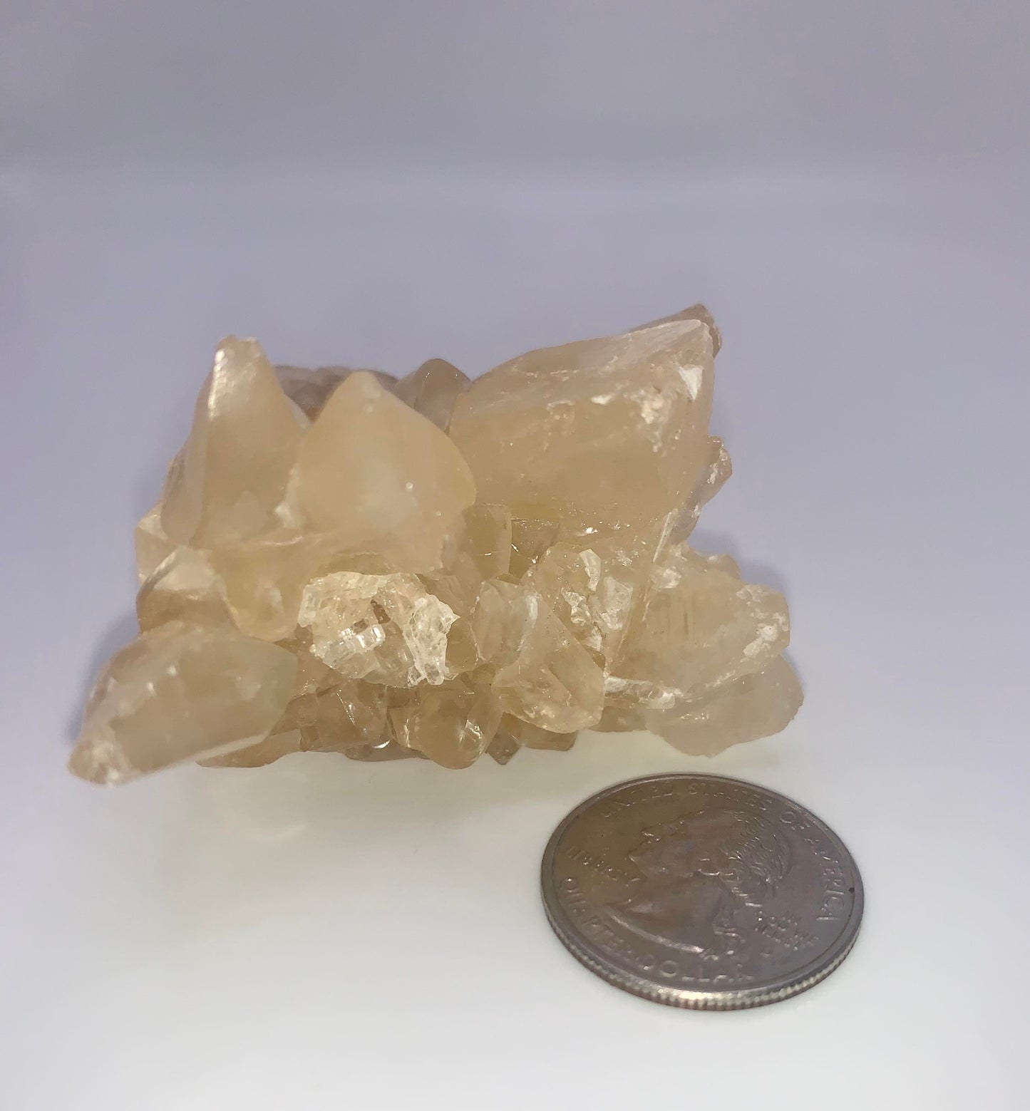 Honey Aragonite from Mexico