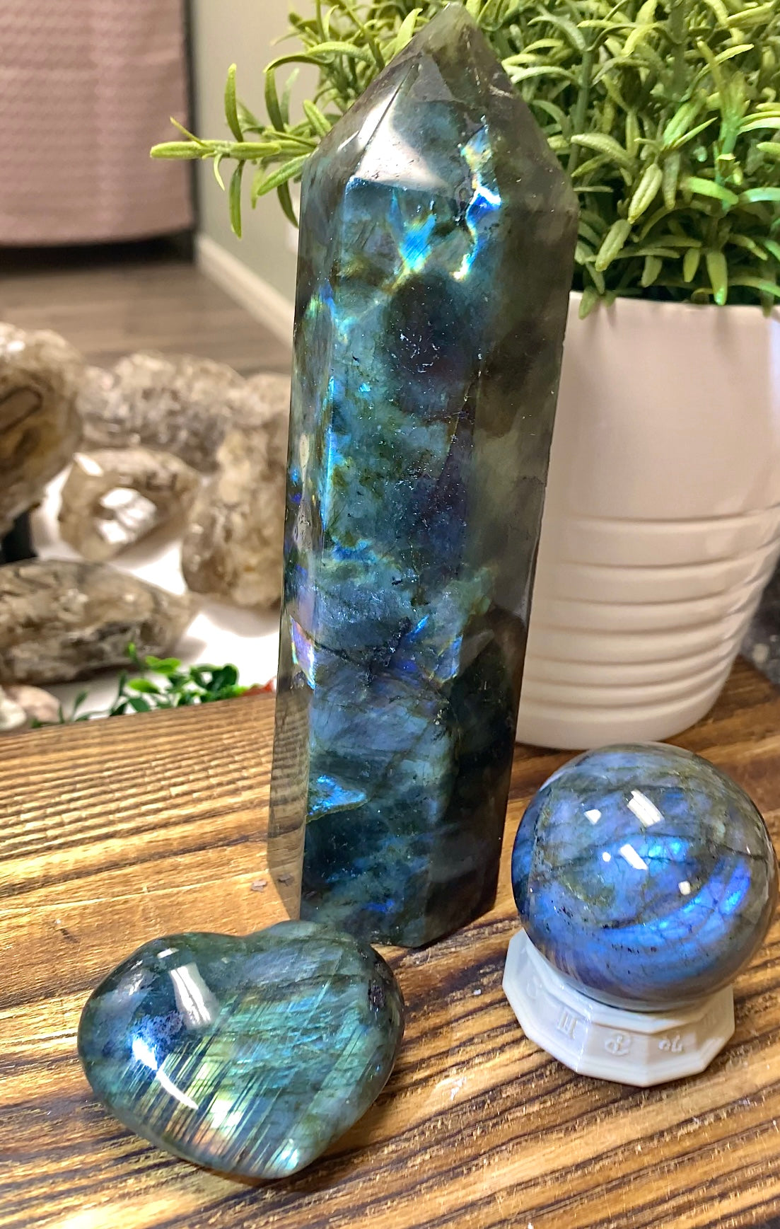 Labradorite Bundle