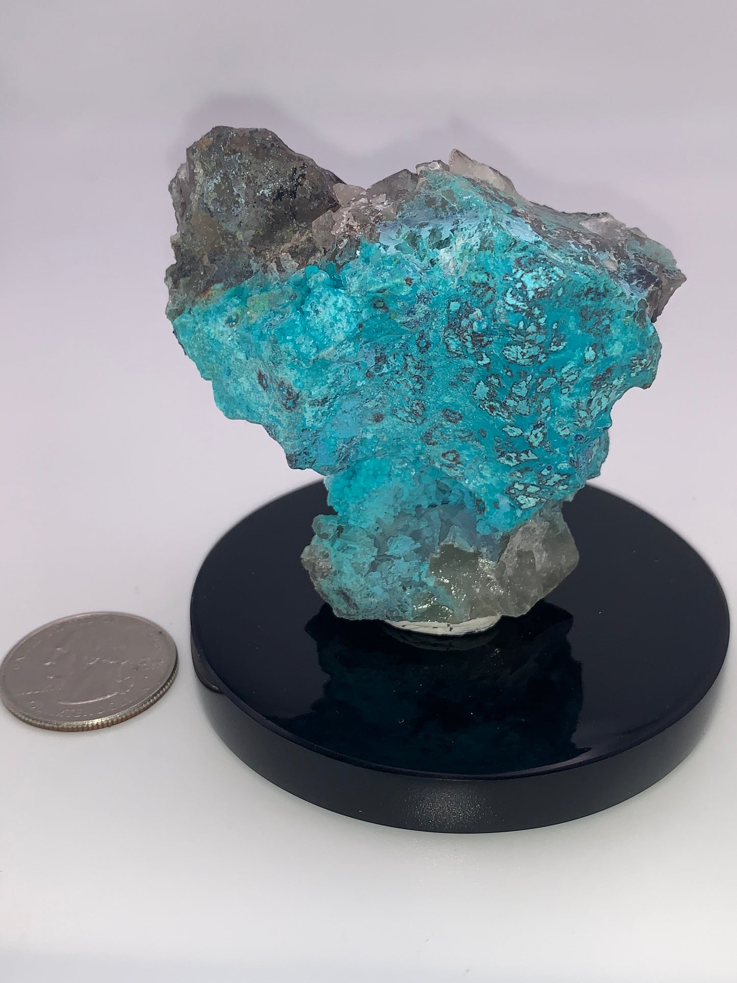 Shattuckite, Chrysacolla, and Quartz on obsidian base