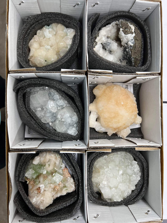 Zeolite Flat 6 piece